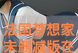 梦想家法国版在线观看,在线观看，探索异国梦想之旅