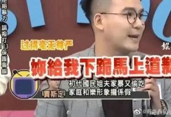 台媒爆料家暴事件视频,家庭悲剧引发社会关注