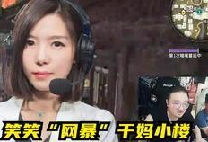 卜哥直播爆料视频大全在线观看,精彩瞬间回顾
