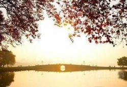 断桥爆料技巧视频