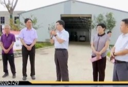 安徽滁州新闻爆料视频,视频揭露当地事件引发关注
