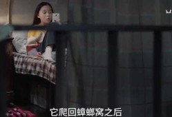 对镜爆料小孩被打视频