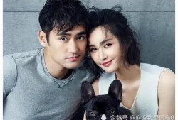 娱乐圈三大爆料明星,幕后真相与传奇故事