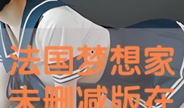 梦想家法国版在线观看,在线观看，探索异国梦想之旅