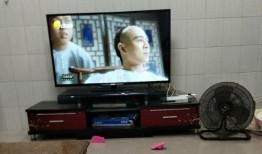 明星爆料李连杰完整视频