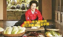 韩国泡菜爆料视频大全,视频大全带你领略传统美味制作过程