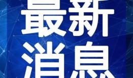 玩车网红爆料视频大全最新,视频大全精彩瞬间大盘点