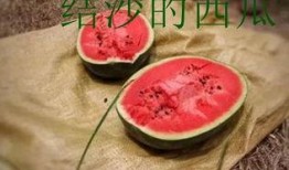 网红一栗沙子吃瓜,揭秘网红圈幕后故事