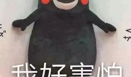 吃瓜娱乐听我说,揭秘娱乐圈幕后故事