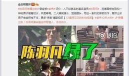 四号嘉宾爆料视频大全,揭秘视频大全背后的惊人真相