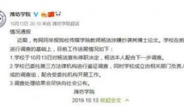 孙小果的最新消息和爆料,揭秘背后惊人内幕与最新爆料