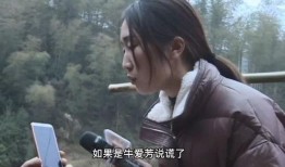 牛爱芳被谁爆料的啊视频,牛爱芳被神秘人物爆料视频引发热议