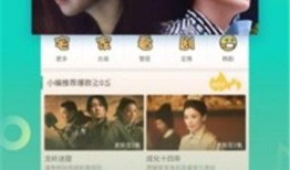 养家最新爆料视频大全,揭秘幕后真相，带你走进真实世界