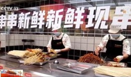 肉串加工厂爆料怎么做视频,视频带你探秘现代肉串制作全过程