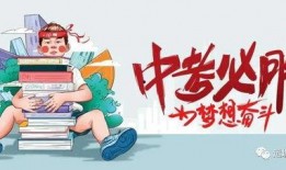 宝藏小李爆料最新消息,揭秘最新宝藏动向与神秘线索