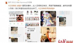 猫之城最新爆料视频大全,最新爆料视频大盘点