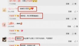 娱乐圈吃瓜爆料csc,CSC事件背后的真相与内幕