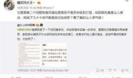 爆料大王是啥人啊视频播放,视频播放背后的神秘人物