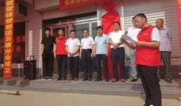 临西吕寨超限站最新爆料,揭秘超限治理背后的故事”