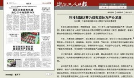 杭州日报热点爆料新闻视频,热点爆料新闻视频背后的真相