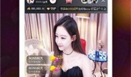 爆料入口玩具怎么做视频,从爆料入口到创意呈现