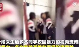 保定爆料女孩视频大全,揭秘网络热点背后的真相