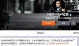 狗仔爆料新闻事件视频播放,新闻事件幕后真相大曝光