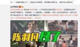 江苏爆料相亲视频大全集,揭秘当地婚恋文化