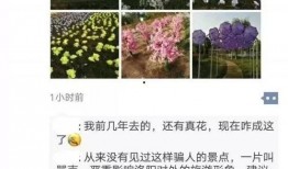 爆料米花视频大全集播放,揭秘热门剧集幕后故事
