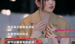 刘大锤爆料陈妍希视频,揭秘娱乐圈幕后真相