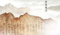本草中国在线观看,探寻中医药的神奇魅力