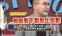 台媒爆料家暴事件视频,家庭悲剧引发社会关注