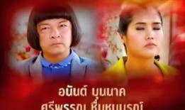 旗袍连续剧在线观看,旗袍传奇连续剧在线观看之旅