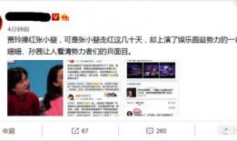 爆料娱乐圈小视频,揭秘明星幕后真相