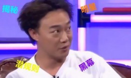 爆料娱乐圈黑幕截图,揭秘幕后真相与利益纠葛