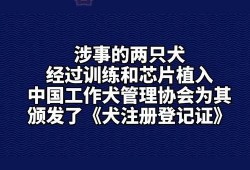 如何爆料社会新闻事件呢,如何成为事件的见证者与传播者