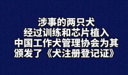 如何爆料社会新闻事件呢,如何成为事件的见证者与传播者