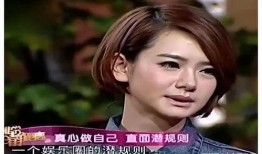 娱乐圈规则爆料,揭秘幕后规则与爆料真相