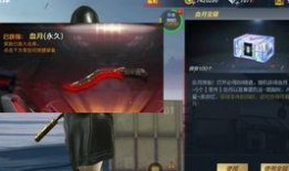 最新核心体验服爆料,揭秘未来游戏版本核心玩法与特色