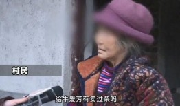 牛爱芳被谁爆料的啊视频,牛爱芳被神秘人物爆料视频引发热议