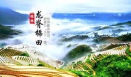 江行简季颜最新爆料,揭秘娱乐圈背后的惊人真相！