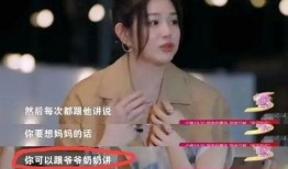 刘大锤爆料陈妍希视频,揭秘娱乐圈幕后真相