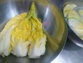 韩国泡菜爆料视频大全,视频大全带你领略传统美味制作过程