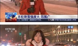姜姓女记者深度爆料视频,揭秘事件背后惊人内幕