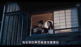 怨女日记在线观看