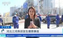 日本资深记者爆料视频,独家视频揭露惊人内幕