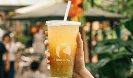 瑞咖咖啡最新爆料,揭秘神秘新品背后的故事