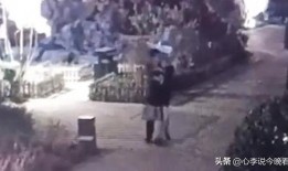 小型吃瓜视频完整版免费,免费完整版背后的精彩故事