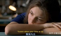 我的灿烂人生在线观看