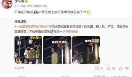 明星爆料吃瓜免费视频,免费吃瓜视频带你一探究竟
